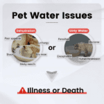 Wireless Pet Water Fountain