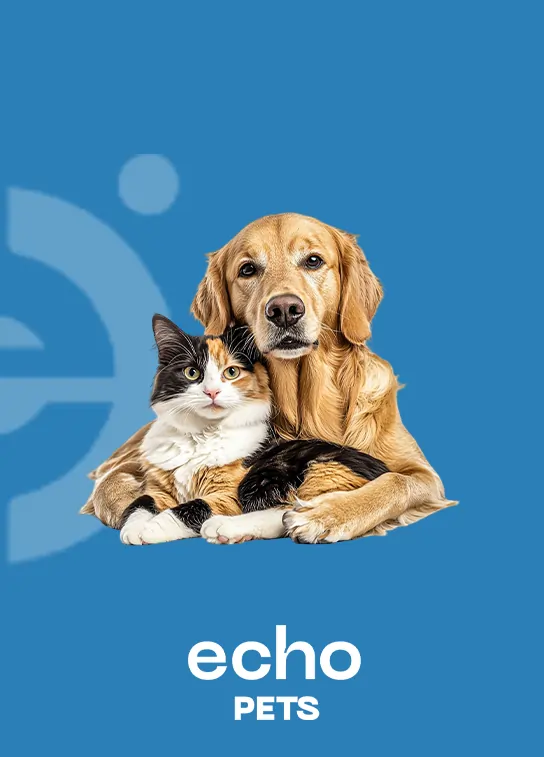 Webppro_out_71adaaae2516d9f5ace8db7381cfb973