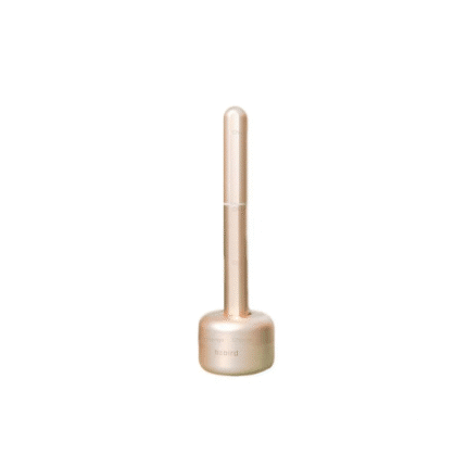 Bebird X17 Pro Smart Visual Ear Cleaning Rod - Gold