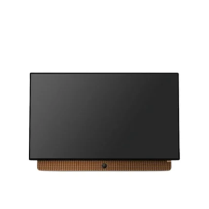 Skyworth Portable Smart Android Screen 24 Inch Android OS