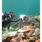 Asiwo Manta - Under Water Scooter - Image 8