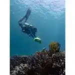 Asiwo Manta - Under Water Scooter - Image 5