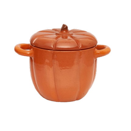 Cattleya Pumpkin Pot