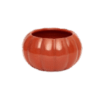 Cattleya Pumpkin Bowl