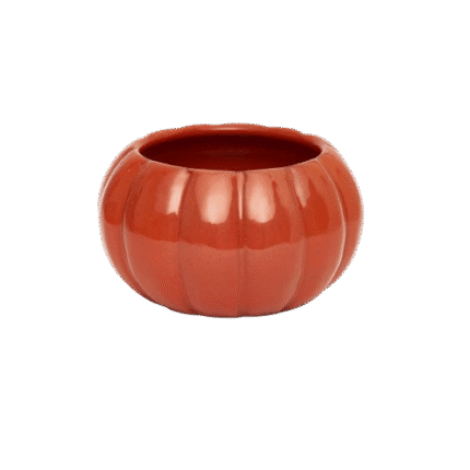 Cattleya Pumpkin Bowl