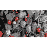 Dyson Purifier HJ10 HushJet Compact - Image 7